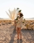 Capim dos Pampas Off White 10 Hastes - comprar online