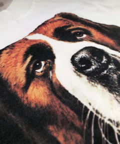 ATTITUDE - comprar online