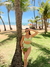Top Aro Biquíni Verde Pistache Santorini - comprar online