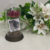 Rosa Encantada com Foto - Amo Você - Nanu Memory - Presente Personalizado - Porta Retrato Personalizado - Quadro Personalizado