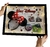 Quadro Luminária Visita ao Parque da Disney - Sonho Eternizado - comprar online