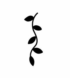 Borda floral