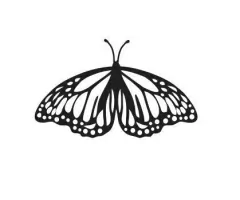 BORBOLETA 1