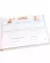 Kit Bebê Luxo Girafinha Baby - comprar online