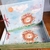Kit Memórias do Bebê 25 fls Leoazinha - comprar online