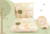 Álbum G para fotos com Caixa Leãozinho Baby - comprar online
