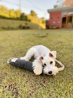 Brinquedo Pet Joaquim o Adestrador Azul - loja online