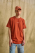 Remera Reg. Terra en internet