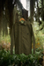 Camisa Oficio Verde