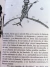 El Principito - Antoine De Saint-Exupéry - comprar online