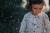 Camisa Tala Lino (bichos) en internet