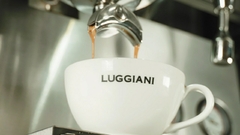 Cafetera 2 Grupos Gaggia Modelo Vetro Electrica en internet