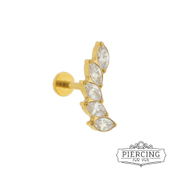 Cluster Asas - loja online