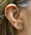 Segmento aço - Piercingforyou