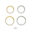 Segmento slim pedras frontais. - comprar online