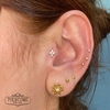 Piercing Nobreza na internet