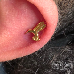 Piercing beija flor - comprar online