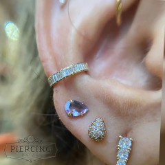 Segmento titânio jasmim. na internet