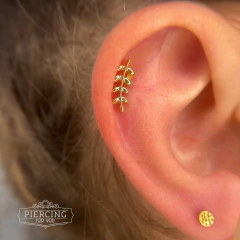 RAMO LISO na internet