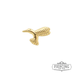 Piercing beija flor na internet