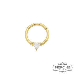 Segmento Monalisa na internet