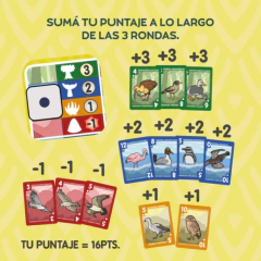 Emplumados - Ludogonia - comprar online