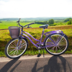 Bicicleta Playera Violeta Altior Rodado 26 De Dama - comprar online