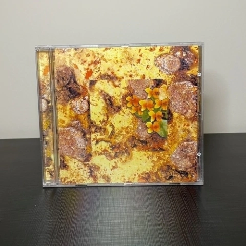 CD - Willard Grand Conspiracy: Everything's Fine