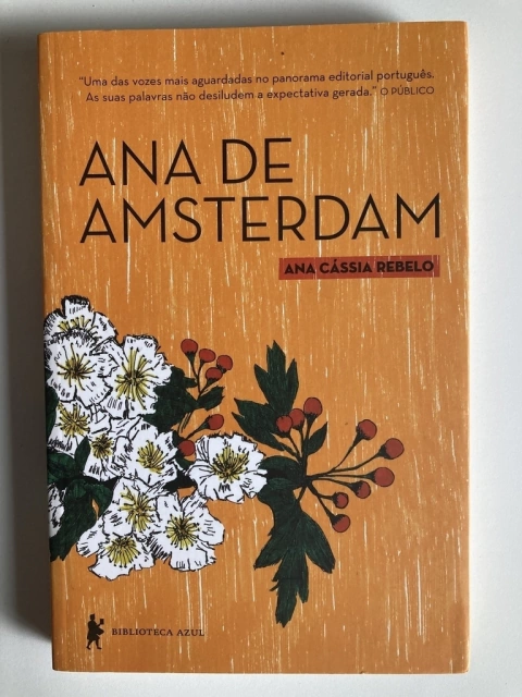 Ana De Amsterdam - Ana Cássia Rebelo