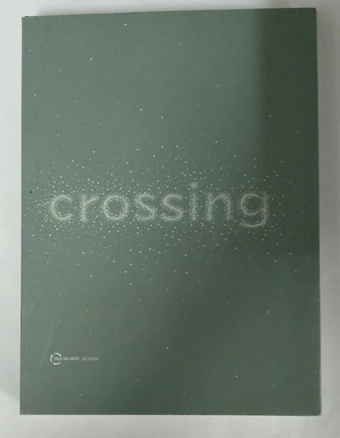 Crossing - Travessias - Curadoria Priscila Arantes