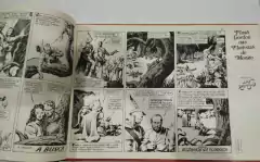 Flash Gordon Nas Florestas De Mongo - Alex Raymond - comprar online