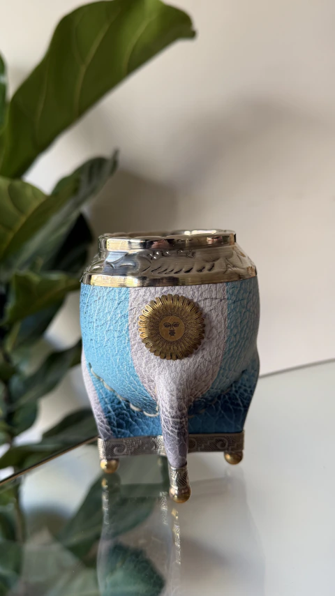 Torpedo Argentina Sol de Mayo