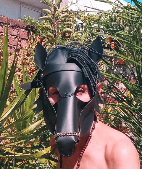 Máscara de caballo en negro de cuero