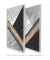 Conjunto 2 Quadros Decorativos - Abstrato Geométrico Iminente Noir na internet