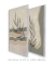 Conjunto 2 Quadros Decorativos - Cultivar Barreiro II e III - comprar online