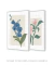 Conjunto 2 Quadros Decorativos - Flor Orquídea Confiar, Magnólia Gratificar - Larissa Ferreira Art Quadros