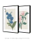 Conjunto 2 Quadros Decorativos - Flor Orquídea Confiar, Magnólia Gratificar