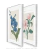 Conjunto 2 Quadros Decorativos - Flor Orquídea Confiar, Magnólia Gratificar - comprar online