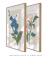 Imagem do Conjunto 2 Quadros Decorativos - Flor Orquídea Confiar, Magnólia Gratificar