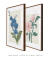 Conjunto 2 Quadros Decorativos - Flor Orquídea Confiar, Magnólia Gratificar - Larissa Ferreira Art Quadros