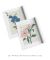 Conjunto 2 Quadros Decorativos - Flor Orquídea Confiar, Magnólia Gratificar - Larissa Ferreira Art Quadros