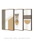 Imagem do Conjunto 3 Quadros Decorativos - Abstratos Crômio