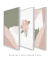 Conjunto 3 Quadros Decorativos - Camelia I, Ramo Camelia e Camelia II na internet