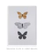 Quadro Decorativo Borboleta de Noir - comprar online