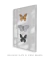 Quadro Decorativo Borboleta de Noir na internet