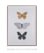 Imagem do Quadro Decorativo Borboleta de Noir