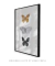 Quadro Decorativo Borboleta de Noir na internet