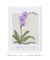 Quadro Decorativo Flor Orquídea - Purificar - comprar online