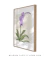 Imagem do Quadro Decorativo Flor Orquídea - Purificar