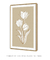 Quadro Decorativo Flor Tulipa Neutra - loja online